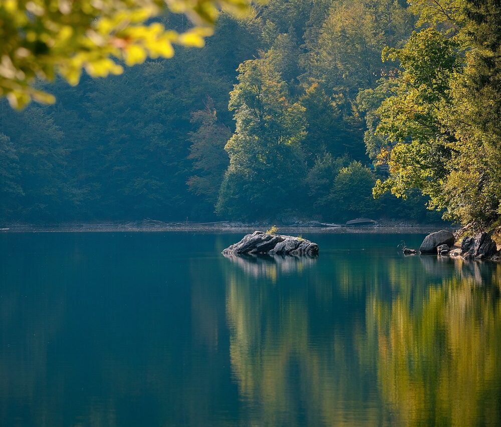 lake, rocks, forest